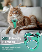 FAYOGOO Cat Harness & Leash Set, Escape Proof, XXL(Chest 19-21''), Green