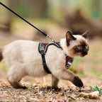 Cat Harness and Leash for Walking Escape Proof Soft Adjustable Cat Leash Breathable Honeycomb Structure Comfortable Vest Easy to Wear Kitten Harness for Outdoor Travel, Honeycomb Red, XS