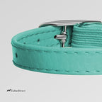 CollarDirect Leather Cat Collar, Cat Safety Collar with Elastic Strap, Kitten Collar with Bell Black Blue Red Orange Lime Green (8-11 Inch, Mint Green)