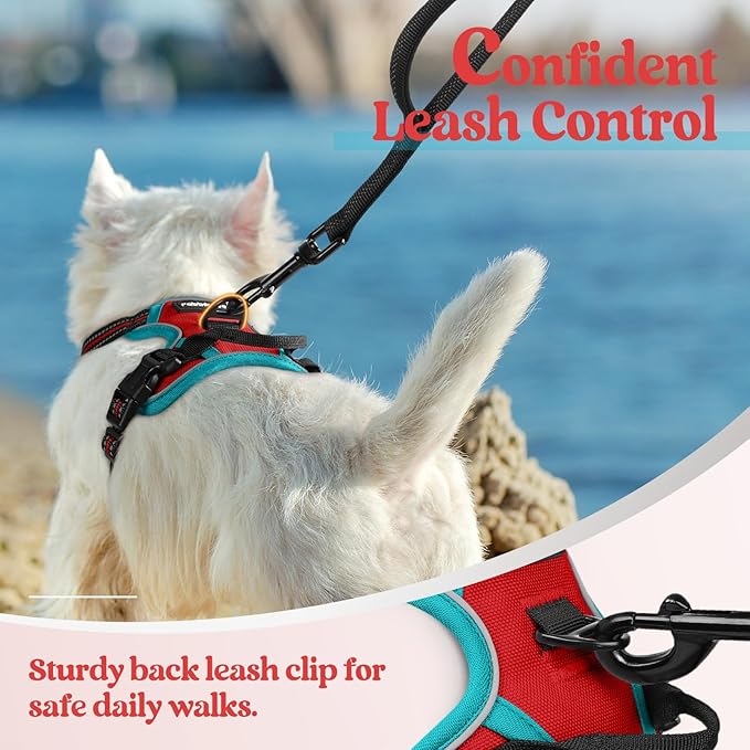 rabbitgoo Dog Harness No Pull with 2 Leash Clips, Adjustable Soft Padded, Reflective Oxford No Choke Pet Vest with Easy Control Handle for Puppy, Red & Teal, XS