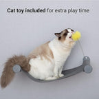 SVD.PET Wall Mounted Cat Hammock with Cat Toy, Easy-to-insall Cat Wall Shelf with Soft Pad on This Premium Kitty Furniture, Modern Design. Easily Supports up to 40 lbs (Easy-Install, Dark Grey)