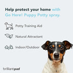BrilliantPad Go Here! Puppy Potty Training Spray | Natural Attractant, Dog & Puppy Home Housebreaking Aid for Pets | Safe for Animals, Furniture & Plants | Use on Pee Pads Indoor & Outdoor | 4oz