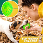 Interactive Dog Toys - 2.5' Squeaky Teething Chew Balls for Small Dogs, Clean Teeth & Training (5Pcs)