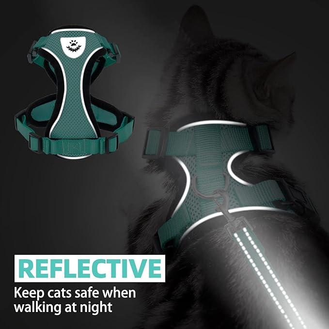 PUPTECK Cat Harness and Leash Set Escape Proof Reflective Cat Walking Harness Adjustable Soft Breathable Mesh Vest for Small Pets, Aquamarine, S