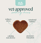 My Lil’ Nugget – Calming Chews for Dogs | Helps Maintain Calm Behavior for Noise, Travel & Routine Changes | Hemp Seed, Chamomile & Melatonin | Beef‑Flavored Soft Chews, 90 Count