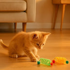 20PCS Interactive Cat Toys for Indoor Cats, Feather Elastic Mesh Cat Toy, Catnip Ball, Colorful Cat Spring, Kitty Rainbow Plush, Teething & Self-Play Kitten Accessories Variety Pack