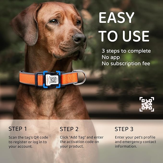 Personalized Dog Collar with QR Code tag for pet ID, Reflective Safety Collar, Suitable for Small, Medium, and Large Dogs (Orange, Medium)