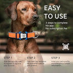 Personalized Dog Collar with QR Code tag for pet ID, Reflective Safety Collar, Suitable for Small, Medium, and Large Dogs (Orange, Medium)