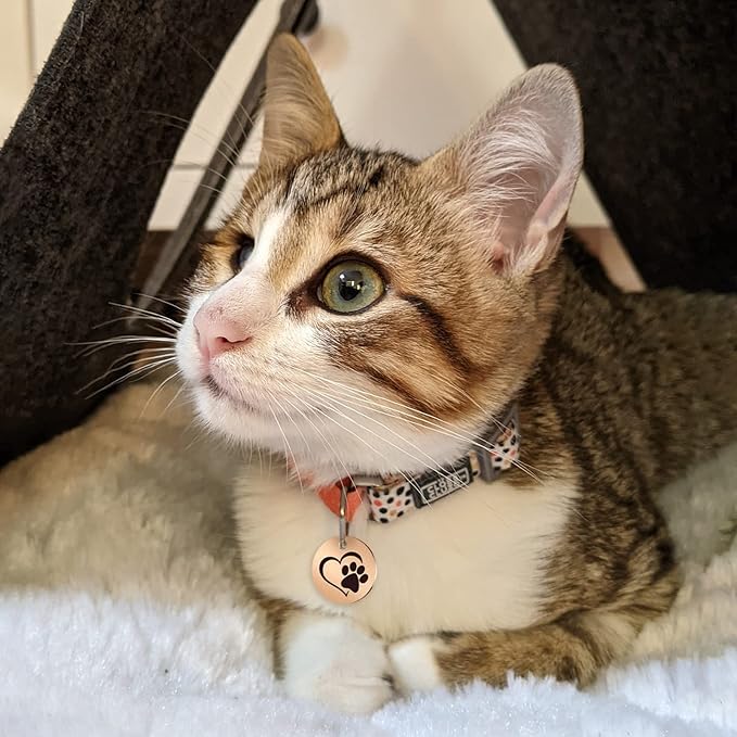 MYLUCKYTAG Stainless Steel QR Code Cat Tags - Online Profile, Scan QR for Instant Pet Location Alerts