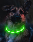 Joytale Light Up Dog Collar, Rechargeable Rainproof LED Collar for Night Walking Safety, Soft Silicone Glow in The Dark, Suitable for Small Medium Large Dogs, Green