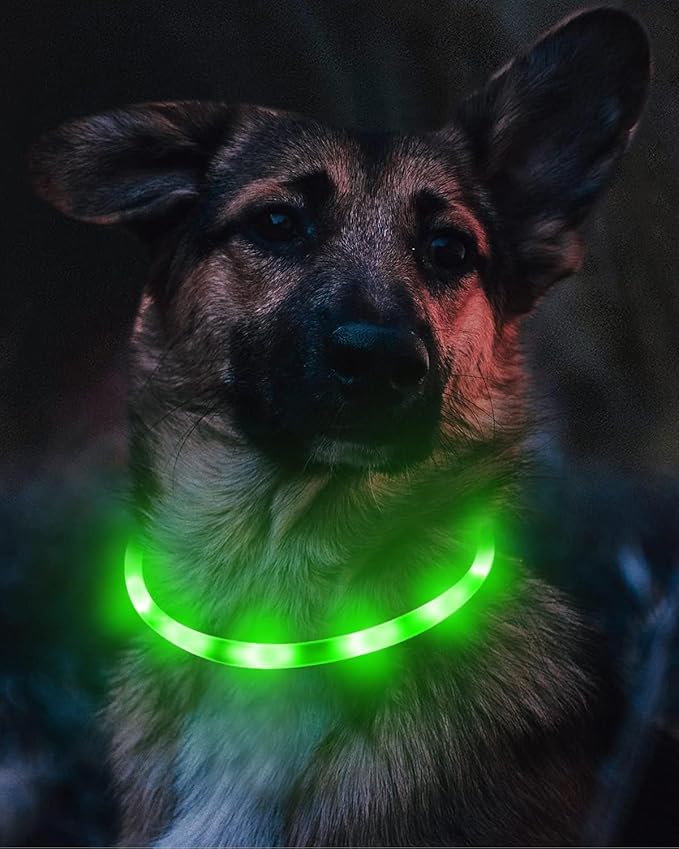 Joytale Light Up Dog Collar, Rechargeable Rainproof LED Collar for Night Walking Safety, Soft Silicone Glow in The Dark, Suitable for Small Medium Large Dogs, Green