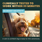 VetriScience Calm & Confident Chews, Composure Clinically Tested Anxiety and Calming Chews for Dogs, Reduce Stress, Ideal for Thunderstorms, Fireworks and Travel, Peanut Butter, 60 Count