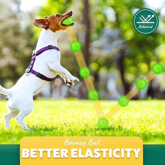 Interactive Dog Toys - 2.5' Squeaky Teething Chew Balls for Small Dogs, Clean Teeth & Training (5Pcs)