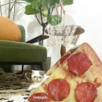 Cat Condo Scratcher Cardboard, Looking Well with Delicious Pizza Shape Cat Scratching House Bed Furniture Protector