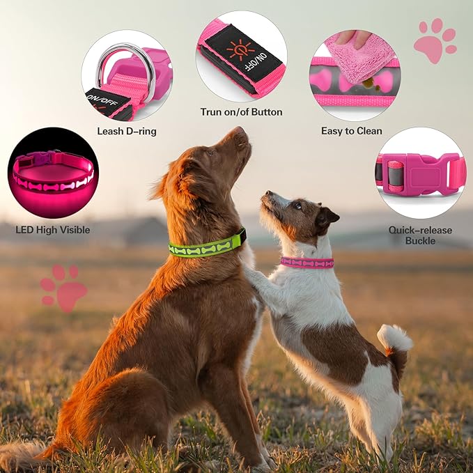 Flashseen Light Up Dog Collars, Adjustable LED Dog Collar Rechargeable, Glow in The Dark Dog Collars Super Bright Glow Collars for Night Walking for Dogs (Pink, Small)