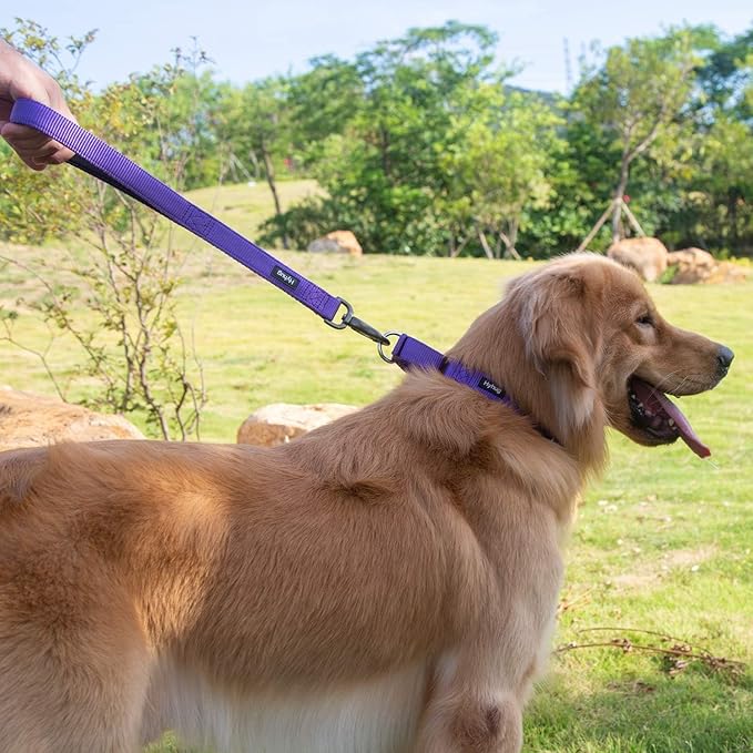 Hyhug Martingale Collar for Dogs Extra Large Purple |Escape - Proof Heavy Duty Nylon Durable No Pull, Ideal for Training & Daily Walks