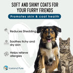 Salmon Oil | Unscented Pharmaceutical Grade | 1118mg of Omega-3 per teaspoon | Liquid Food Supplement For Dogs and Cats | BPA-Free Brushed Aluminum Epoxy coated Bottle with Pump 8.75oz