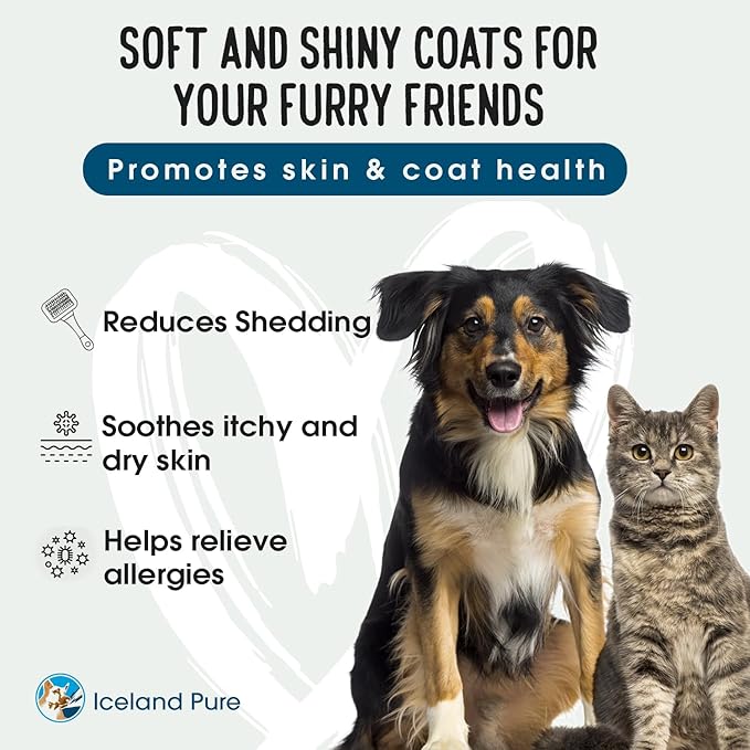 Salmon Oil | Unscented Pharmaceutical Grade | 1118mg of Omega-3 per teaspoon | Liquid Food Supplement For Dogs and Cats | BPA-Free Brushed Aluminum Epoxy coated Bottle with Pump 8.75oz