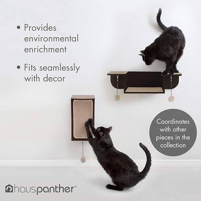 Hauspanther CATchall - Wall Mounted Cat Scratcher Toy Storage & Perch, Espresso (55140)