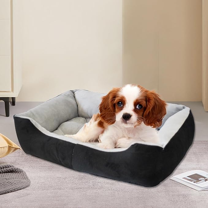 Dog Beds for Small Dogs,Rectangle Cat Beds for Indoor Cats,20"x15"x6" Washable Pet Bed with Side and Anti-Slip Bottom for Medium Dog,Kitten(Black)
