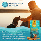 Just Chicken Chips | Premium Single Ingredient & Healthy Dog Treats | All Natural | Training Treats for Small to Large Dogs | Made in USA - 8oz