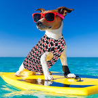 Dog Cooling Vest, Quick Dry Dog Summer Clothes Pet Vest Puppy Shirts, Sleeveless Dogs Cooling T-Shirts for Small Medium Large (Red Heart+Blue Heart, XXL)