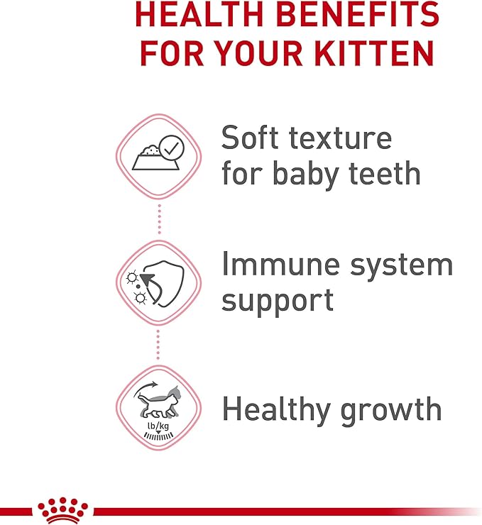 Royal Canin Feline Health Nutrition Kitten Thin Slices in Gravy Cat Food, 3 oz (Pack of 12)