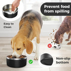 LIHONG Stainless Steel Dog Bowls for Small Medium Sized Dogs Non Slip,Insulated Dog Bowl,Pet Bowl for Food and Water,Rustproof(40oz,Black)