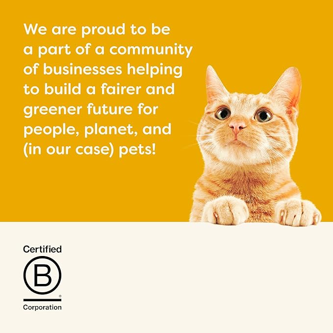 Applaws Natural Cat Treats, Grain-Free, High Protein, Limited Ingredients, No Artificial Additives or Fillers, Healthy & Nutritious Snack for Cats, Crunchy Chicken Treats (12 x 2.0oz Bags)