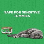 KOHA Minimal Ingredient Turkey Stew for Cats, High Protein Limited Ingredient Wet Cat Food, 5.5oz Cans (Case of 24)