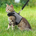 PUPTECK Soft Mesh Cat Vest Harness and Leash Set Puppy Padded Pet Harnesses Escape Proof for Cats Small Dogs Rabbits Bunny
