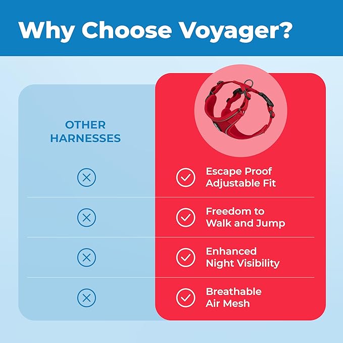 Voyager Escape-Proof Step-in Lock Cat Harness & 5ft Neoprene-Handle Leash Set All-Weather Mesh with Reflective Stitching for Small to Large Cats by Best Pet Supplies, Red (327), S