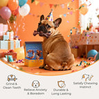 Dog Toys for Aggressive Chewers: Gift Box with 3 Pack Dog Chew Toys, Indestructible Dog Toy for Large Dogs, Tough Dog Toys to Keep Them Busy, Chew Toys for Dogs Birthday, Bacon Flavor 2593-2