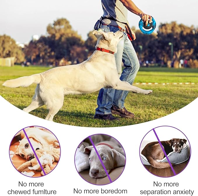 Chew Toys for Medium Large Breed, Tough Dog Toys for Aggressive Chewers, Indestructible Squeaky Dog Chew Toys to Keep Them Busy, Outdoor Puppy Toys Nylon&Rubber