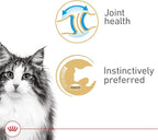 Royal Canin Feline Health Nutrition Aging 12+ Senior Thin Slices in Gravy Cat Food, 3 oz (Pack of 24)