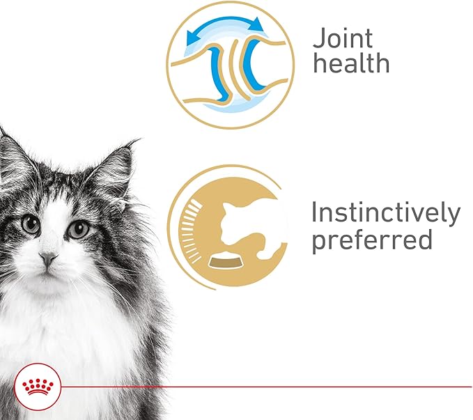 Royal Canin Feline Health Nutrition Aging 12+ Senior Thin Slices in Gravy Cat Food, 3 oz (Pack of 24)