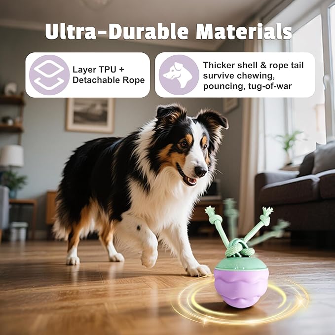 Interactive Dog Toys [2025 Upgrade] – Smart Dog Ball, Automatic Motion-Activated Rolling, Random Path, Squeaky Sounds, USB-C Rechargeable LED Light, Indoor/Outdoor Use