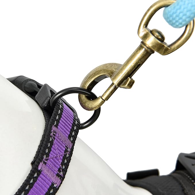 Mile High Life Dog Collar | Nylon Reflective Dog Collars | Light Weight Puppy Collars | Purple Dog Collars for Small Dogs (Purple, Small)