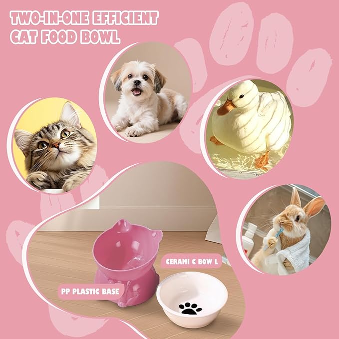 Ceramic Raised Cat Bowl - 5 Inch Tilted Design for Indoor Cats, Anti-Vomiting & Whisker Fatigue Relief, Non-Slip Base, Pink