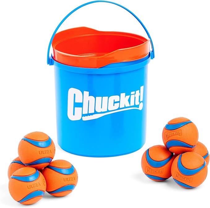 Chuckit! Ultra Ball Dog Toy with Chuckit! Cleaning Bucket Bundle, Bouncy Fetch Pet Toys For Dogs 20-60 lbs, Interactive Dog Toys, Durable Rubber, Size Medium, 2.5-inch Diameter, 8-Pack of Balls