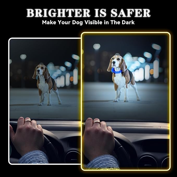 Led Light Up Dog Collar Rechargeable Waterproof, Glow in Dark Dog Collar, TPU Cuttable Lighted Dog Collars for Night Walking Charging USB, Safety for Small Medium Large Dogs Blue
