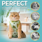 Avont Cat Recovery Suit - Kitten Onesie for Cats After Surgery, Cone of Shame Alternative Surgical Spay Suit for Female Cat, Post-Surgery or Skin Diseases Protection -Avocado(M)