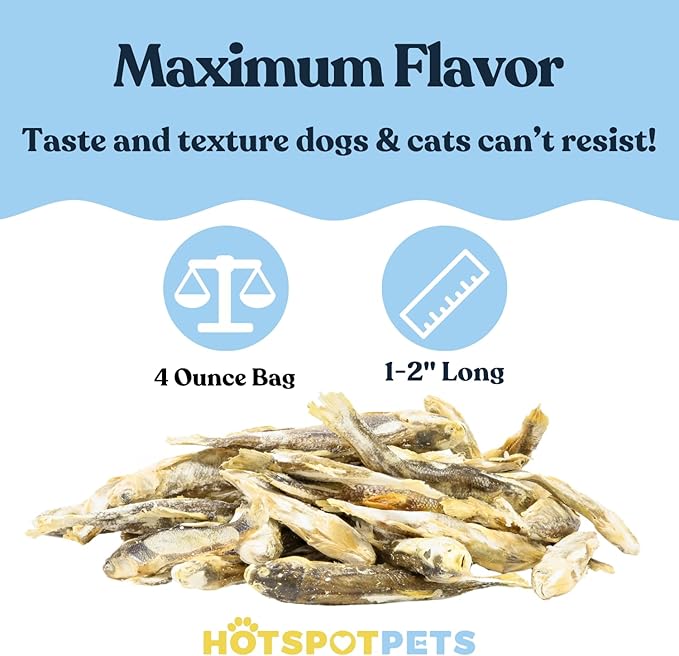 Freeze-Dried Minnows for Cats & Dogs – 100% Natural Single Ingredient Snack – High Protein, Grain-Free, Raw Diet Dog Treats – Omega-3 Fish – No Additives or Preservatives Minnows for Cats (4 Ounce)