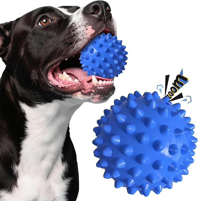 Apasiri Squeaky Ball Dog Toys for Large Dogs, Dog Toy, Indestructible Dog Balls for Aggressive Chewers, Outdoor Dog Toys, Balls for Dogs Aggressive Chewers, Bacon Flavor Floatable Ball Blue