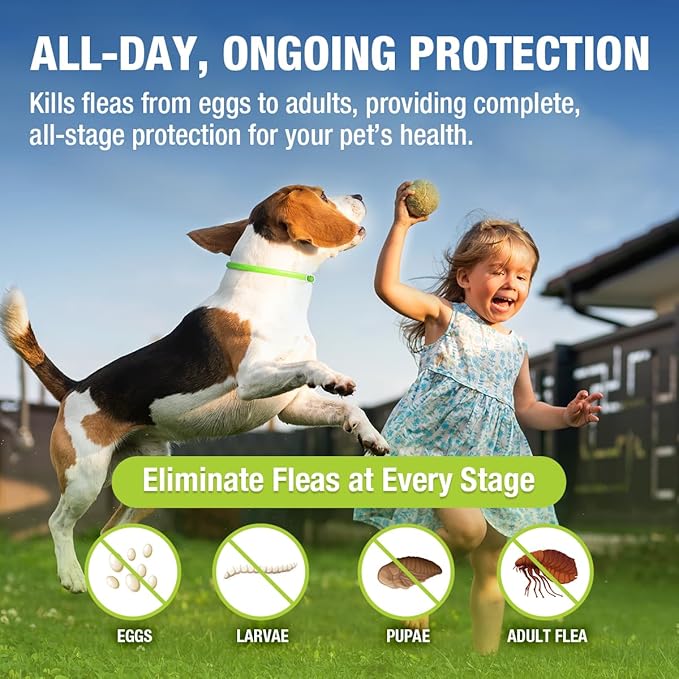 EcoVenger Flea Collars for Dogs & Cats - Flea & Tick Repellent 2-Pack Green. Built-in Pant-Based Formula Strong Repellency Slow Release, Lasting Protection, Pleasant Aroma, Waterproof
