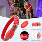Flashseen LED Cat Collar,Light Up Dog Collar Rechargeable, Dog Lights for Night Walking, Comfortable Soft Mesh Pet Collar Adjustable for Cats Puppy and Small Dogs (Red, XS)