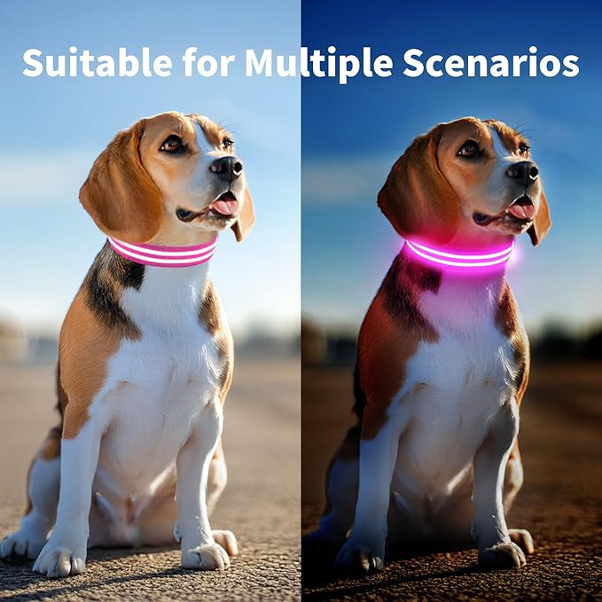Pceotllar Lighted Dog Collar - Rechargeable, Water-Resistant LED Flashing, Glow in the Dark for Large, Small, Medium Dogs