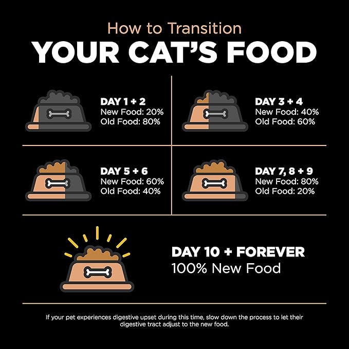 Go! Solutions Digestion + Gut Health, Dry Cat Food, Salmon Recipe with Ancient Grains, 16 lb Bag