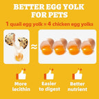 Wellix 9oz Freeze Dried Quail Eggs for Cats&Dog Treats - High-Protein Freeze Dried Quail Egg Yolk Cat Treats for Skin&Coat Health - Delicious Training Snacks for Puppy,Kitten Treat
