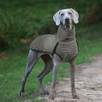 ROZKITCH Dog Winter Coat Soft Pullover Pajamas, Pet Windproof Warm Cold Weather Jacket Vest Cozy Jumpsuit Apparel Outfit Clothes for Small, Medium, Large Dogs Walking Hiking Travel Sleep Stripe XL